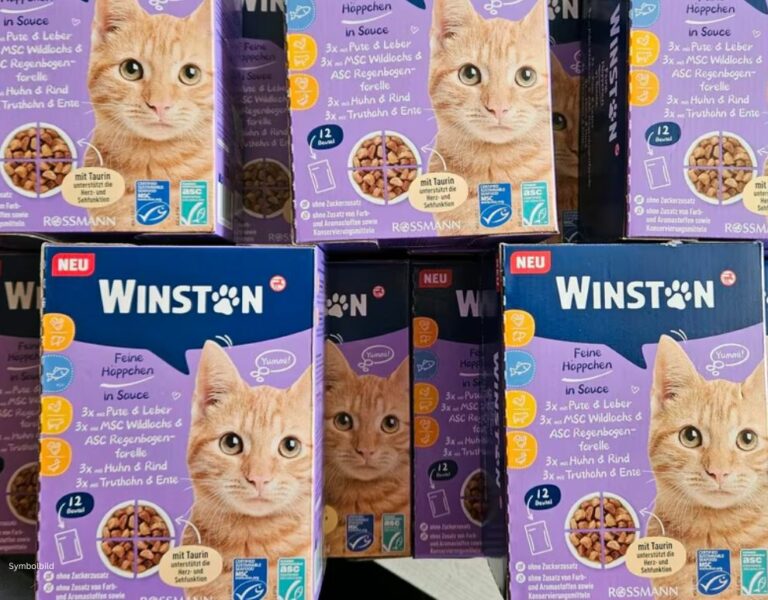 Winston ‚Häppchen in Sauce reich an Huhn‘ * im Test