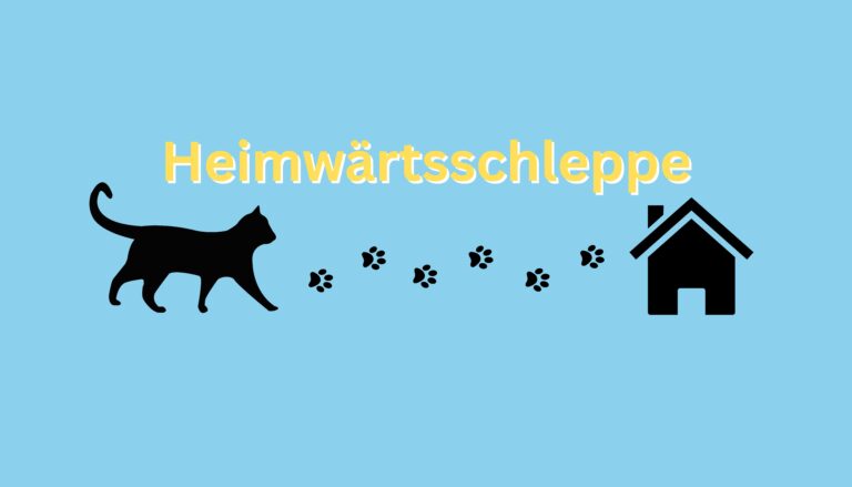 Heimwärtsschleppe