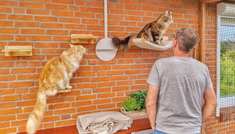 WooWood Design begeistert unsere Pfoten*