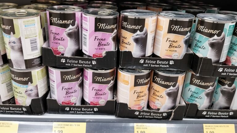 Miamor Feine Beute – NFE, Protein, Fett und Transparenz im Fokus*